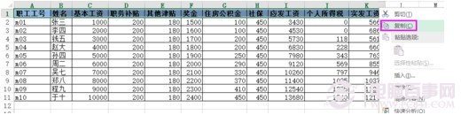 Excel如何批量插入表头？