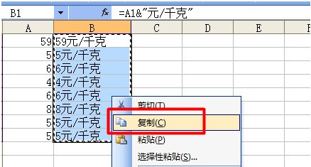 如何为Excel批量加前缀或后缀