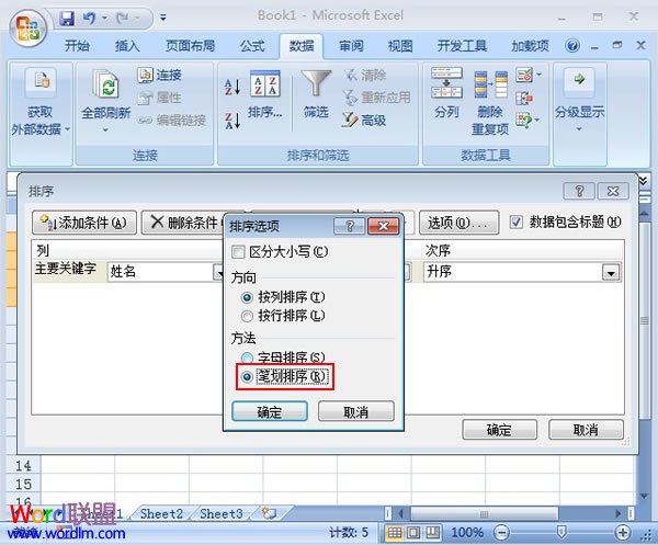 Excel2007如何设置根据笔画排序