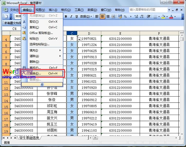Excel2003ʵַ滻