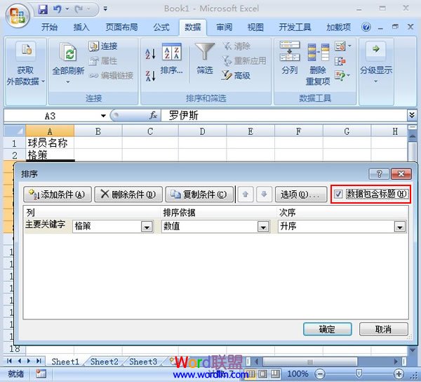 Excel2007表格中将排序设为笔画排序