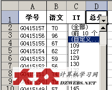 Excel自定义筛选实例