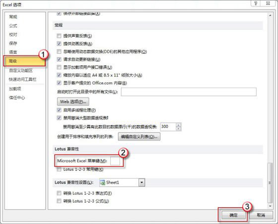 Excel2010不能输入斜杠怎么办