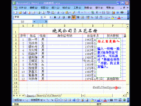 Excel2003入门动画教程专辑（共68篇）