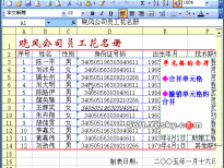 Excel2003入门动画教程专辑（共68篇）