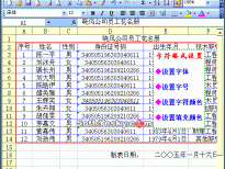 Excel2003入门动画教程专辑（共68篇）