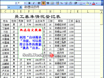 Excel2003入门动画教程专辑（共68篇）