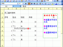 Excel2003入门动画教程专辑（共68篇）