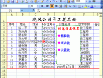 Excel2003入门动画教程专辑（共68篇）