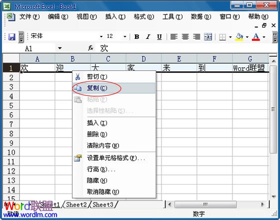 Excel2003中怎么将行中的数据复制到列中