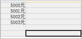 怎样在WPS表格设置输入的内容带同一个字