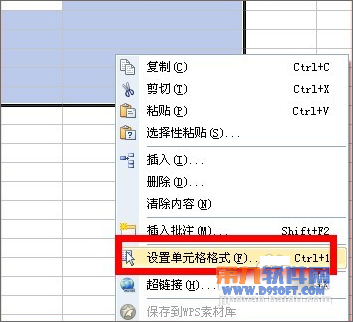 怎样在WPS表格设置输入的内容带同一个字