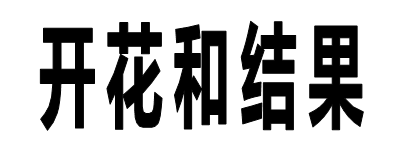 WPS演示教程：对象填充效果在课件制作中的应用