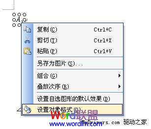 WPS文字中如何利用公式编辑器制作图形标注