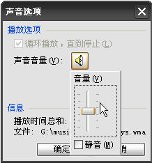 WPS演示教程：“插入背景音乐”的功能