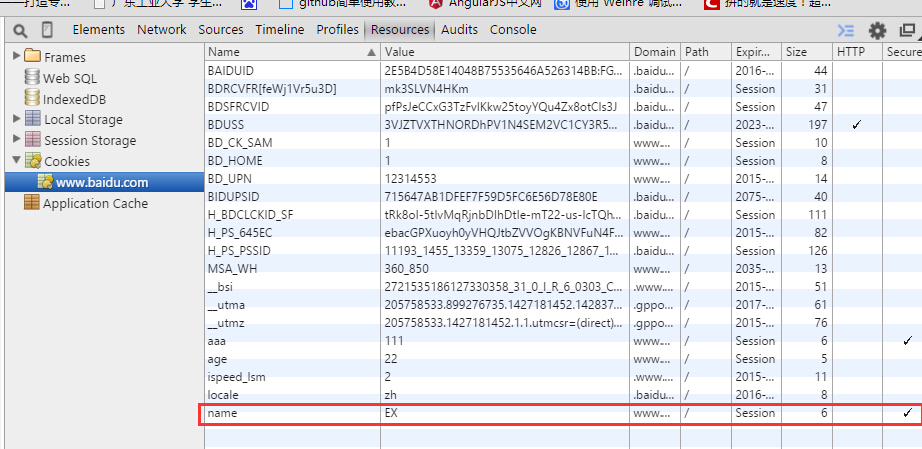 cookiesecure