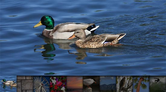 ٷ70+ѵjquery ͼƬЧͽ̳