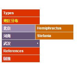 JS+CSSʵֵ۵˵Ч