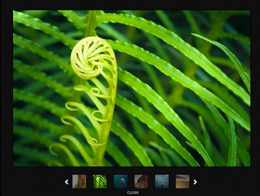 40ǳõ jQuery Ƽϵһ