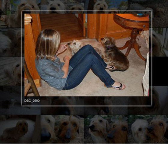 50ǳ jQuery 