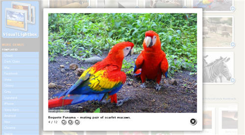 30jQuery LightboxЧ