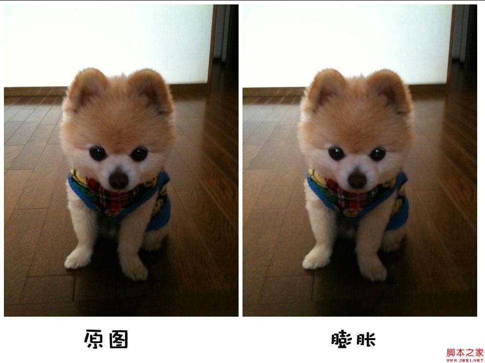 Javascriptͼͼ̬ѧ(븯ʴ)