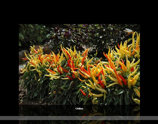 33jQuery ̷̳(õƬ˵)