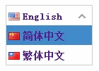 js˵ѡʵ