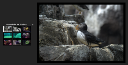 Mootools ͼƬչʾ(lightbox,ImageMenu)ռ