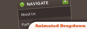 15jQuery˵