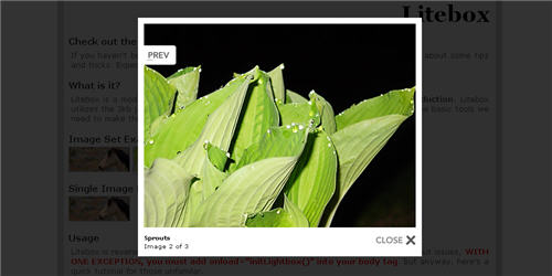 30jQuery LightboxЧ