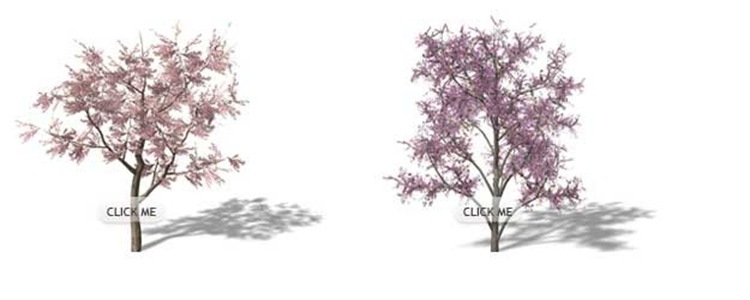 Թ14ͼƬŴ༭jQuery