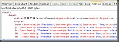 ExtJs ExcelIIS