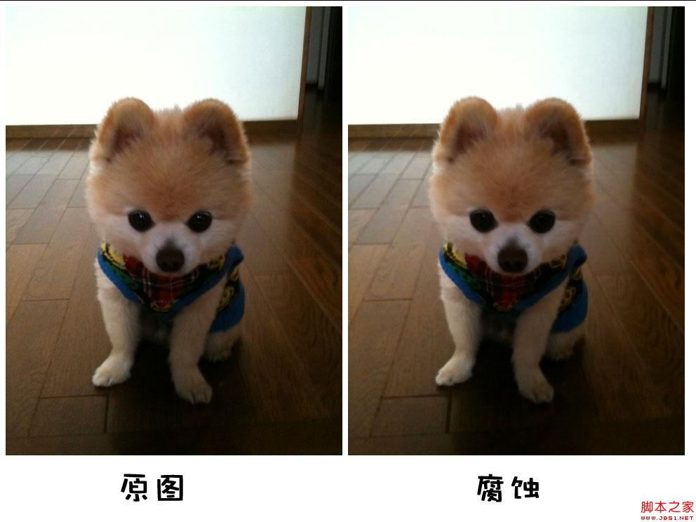 Javascriptͼͼ̬ѧ(븯ʴ)
