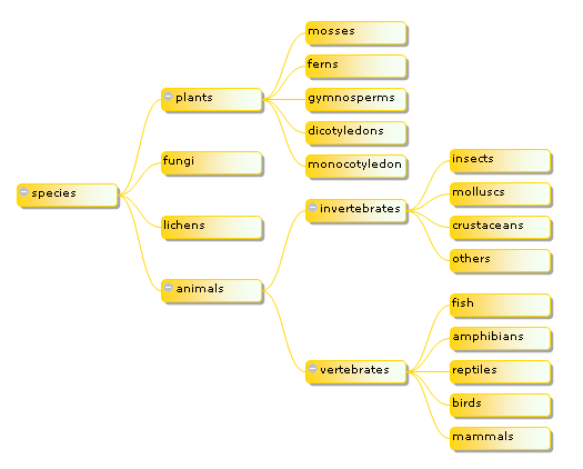 javascript ؼ ȽϺ