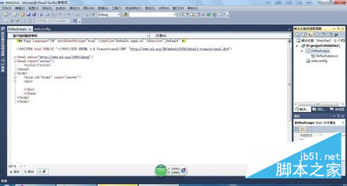 vs2010򵥵asp.netվ