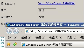 ASP.NET2005/2008ʱ˿ڲȷĽ׷