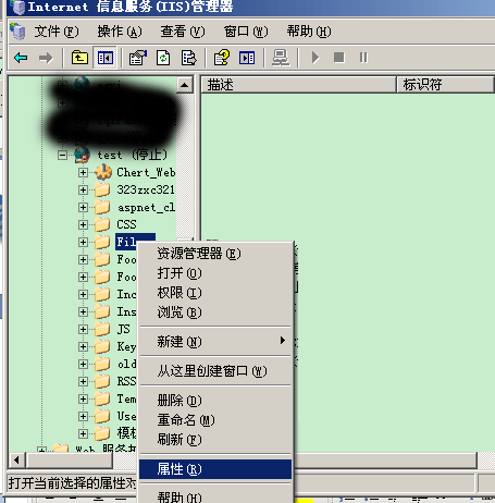 win2003.NET+IISܽ