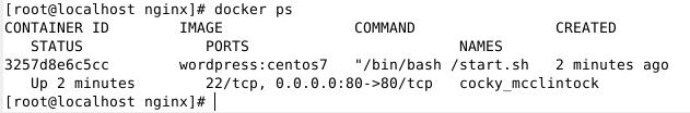 DockerмWordPressվȫ