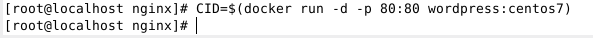 DockerмWordPressվȫ