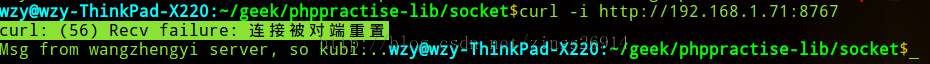 PHPSocketָ