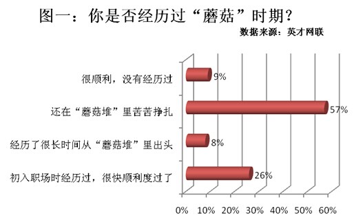 职场新人