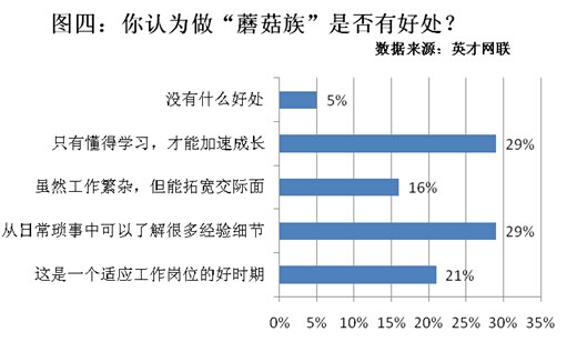 职场新人