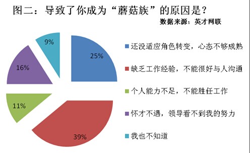 职场新人