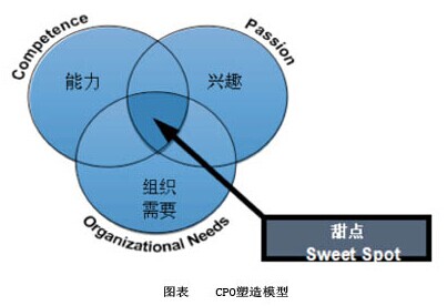 如何将人才雕琢成“镇馆之宝”