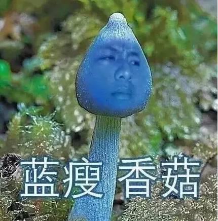 “蓝瘦香菇”英文怎么说？这俩翻译神了！