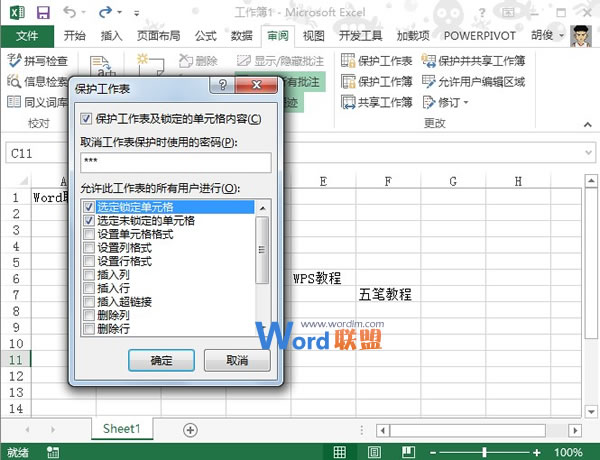 设置Excel2013单元格被修改时需要输入密码