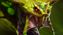 venomancer_hphover.png