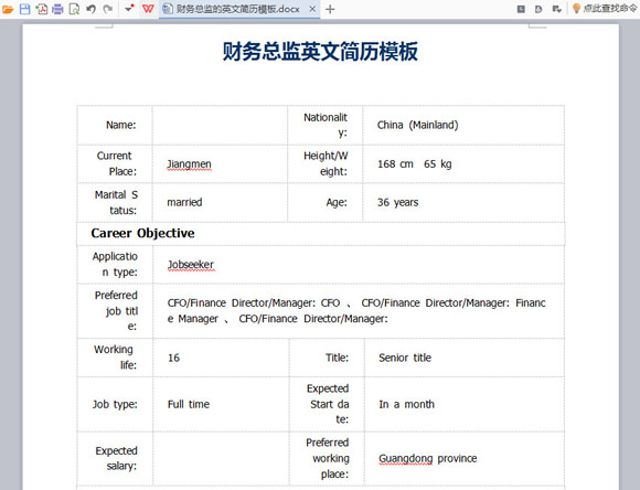 财务总监英文简历模板