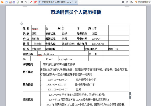 市场销售员个人简历模板